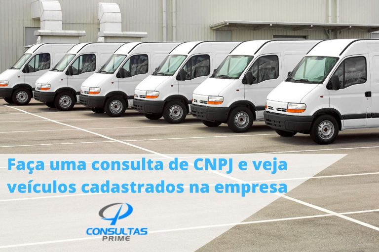 Faça uma consulta de CNPJ e veja veículos cadastrados na empresa