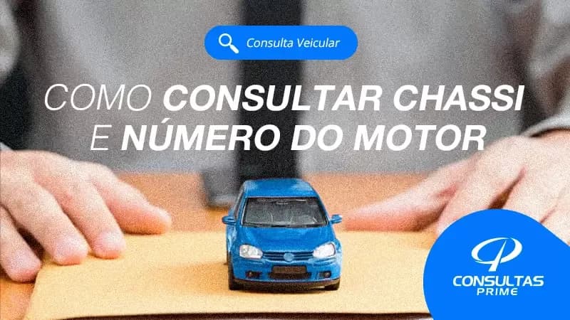 Consulta pela placa com relatório completo