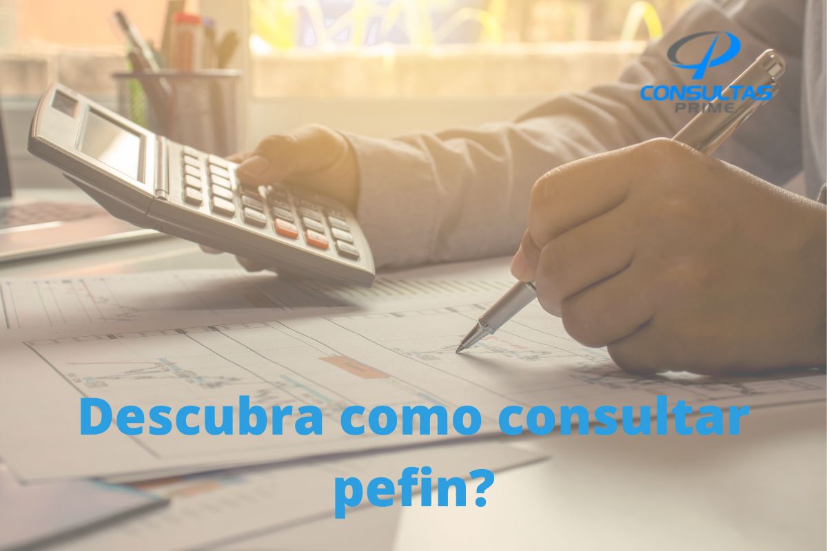 como consultar pefin e restrição financeira