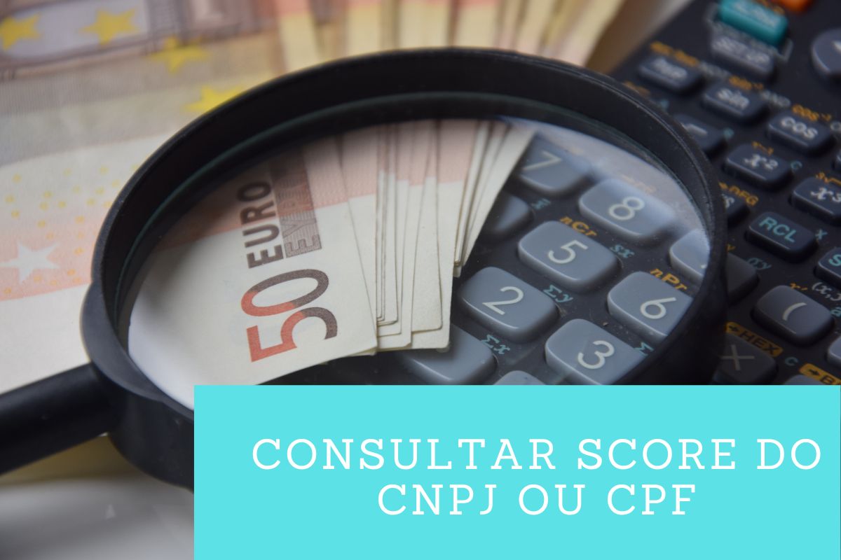 Veja Como Consultar Score Do Cnpj Ou Cpf Consultas Prime 7567