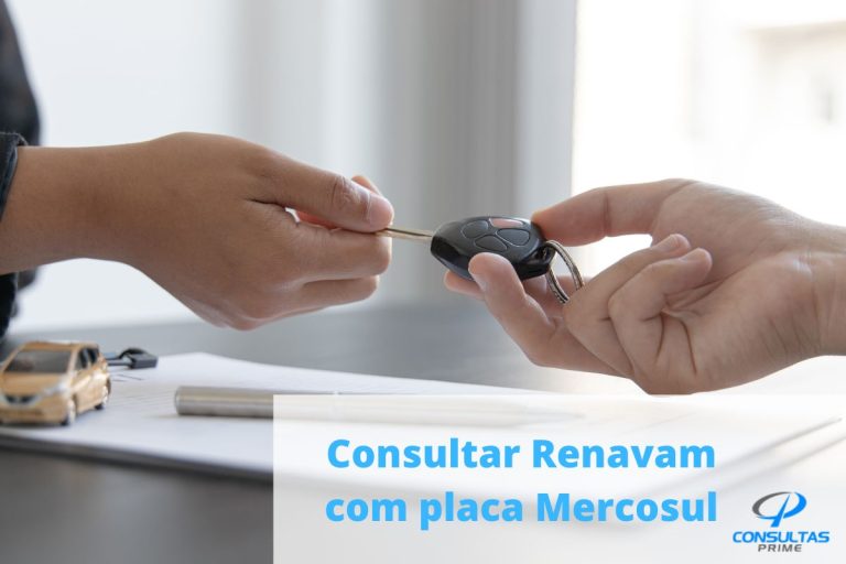 Quer Fazer Consulta Renavam Pela Placa Mercosul Consultas Prime