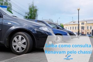 consulta renavam pelo chassi