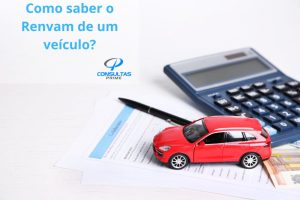 como saber o renavam