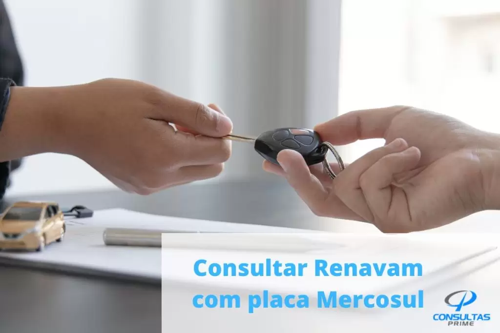 Consulta renavam pela placa